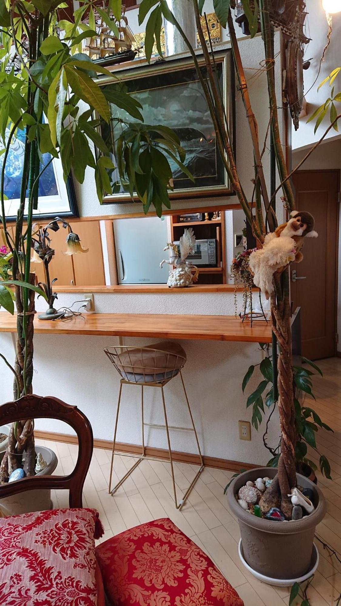 Setagaya-ku - House - Vacation 16507
