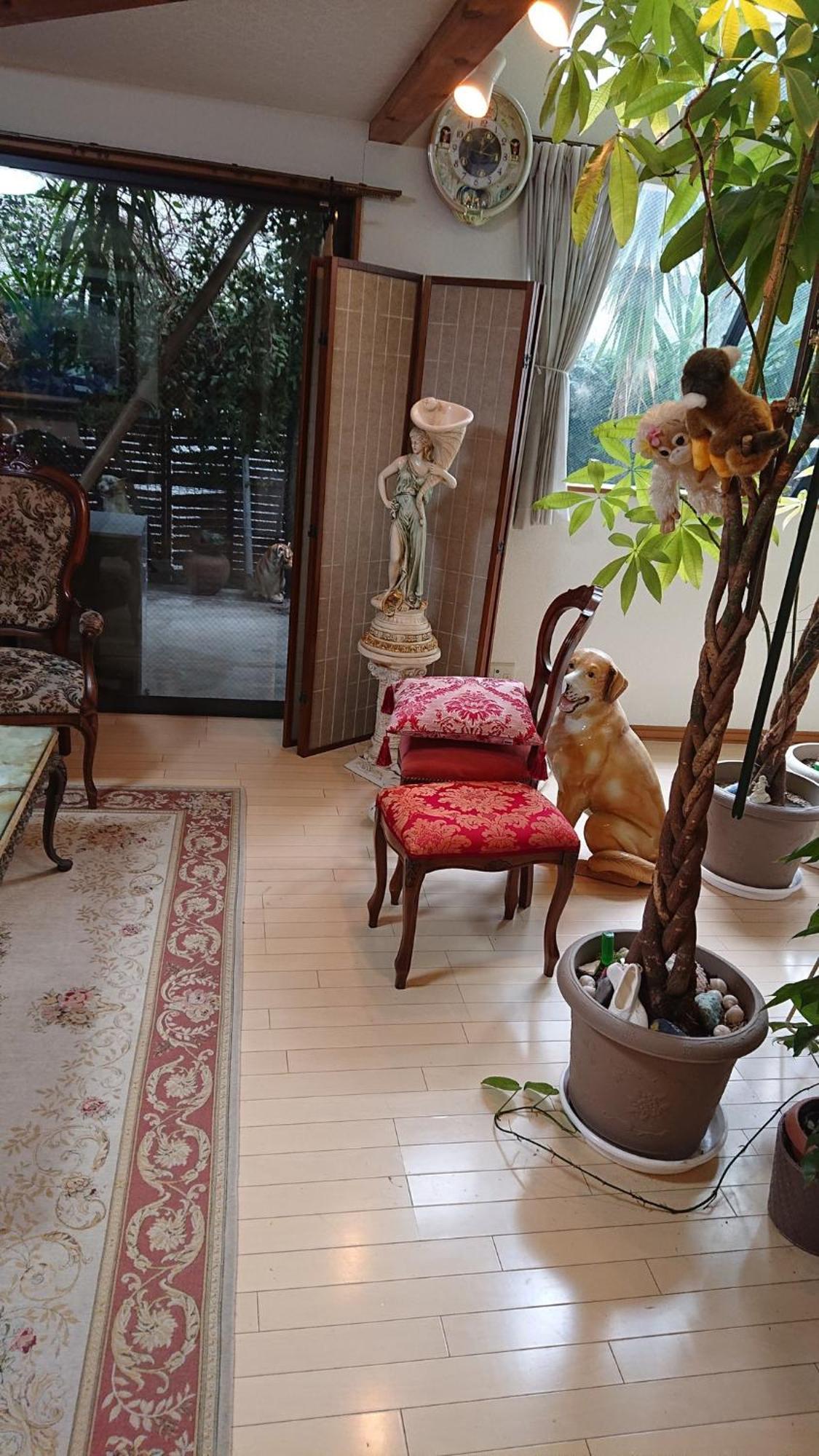 Guest house Setagaya-ku - House - Vacation 16507